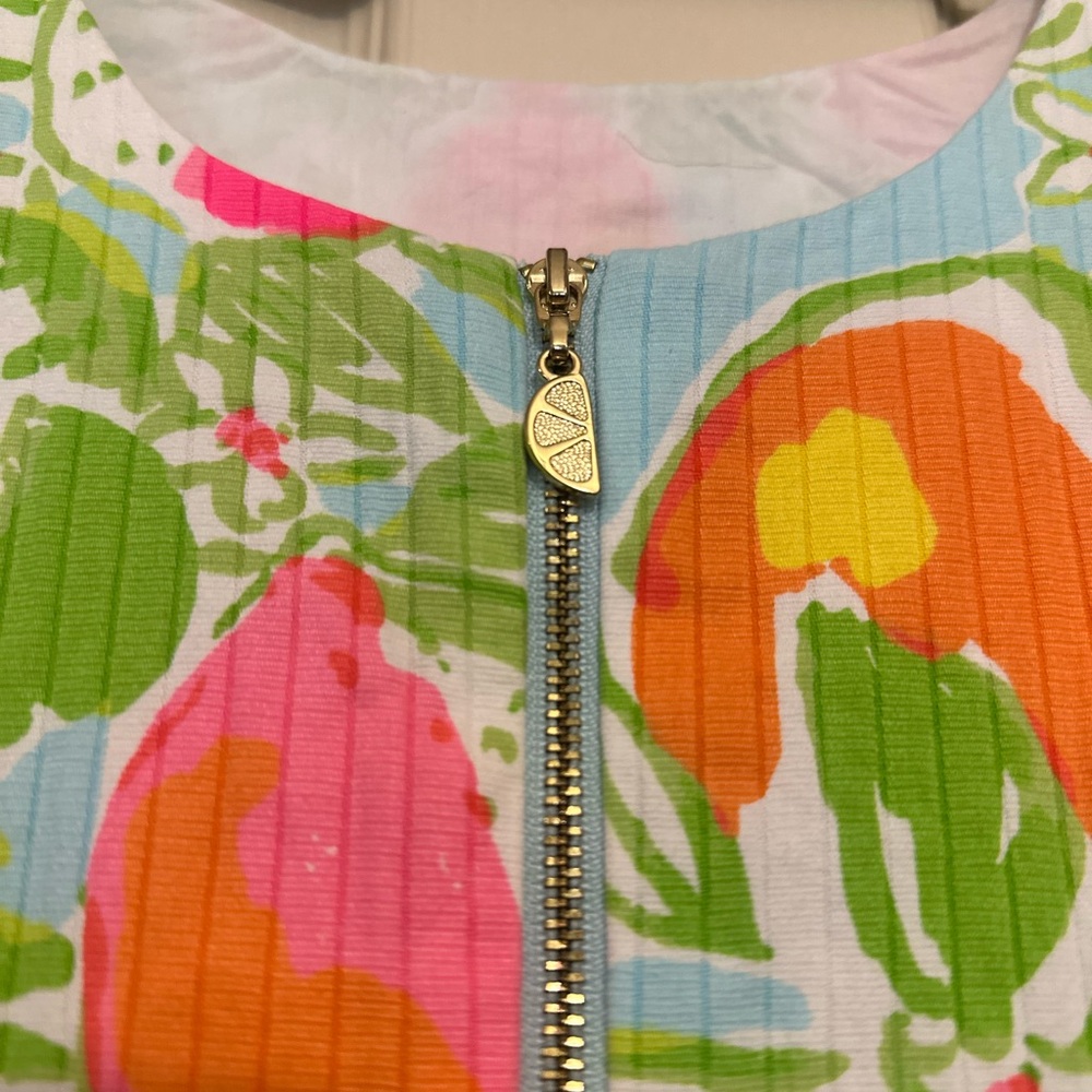 ♦️ Lilly Pulitzer Sleeveless Summer Fruit Dress Size 2 Blue and Pink - Picture 4 of 8